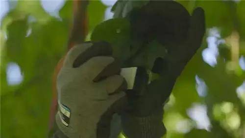 唯獨這一些抓人眼球的室外標識才配叫創(chuàng)意！廣告主也滿意10