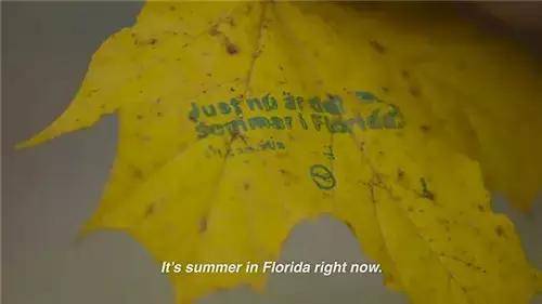 僅有這一些抓人眼球的室外標識才配叫創(chuàng)意！廣告主也滿意11