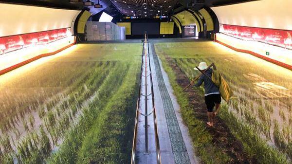 這些戶外廣告的創(chuàng)意你喜好嗎？15