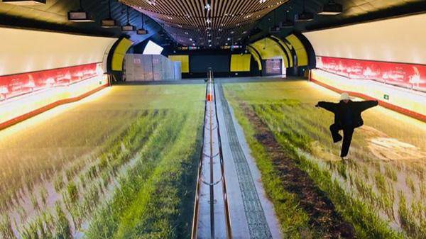 這些戶外廣告的創(chuàng)意你喜好嗎？16