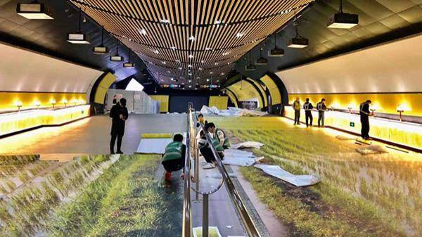 這些戶外廣告的創(chuàng)意你喜好嗎？17