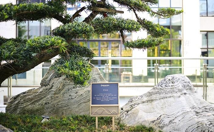 如此的房地產(chǎn)LOGO系統(tǒng)設(shè)計才符合需求2